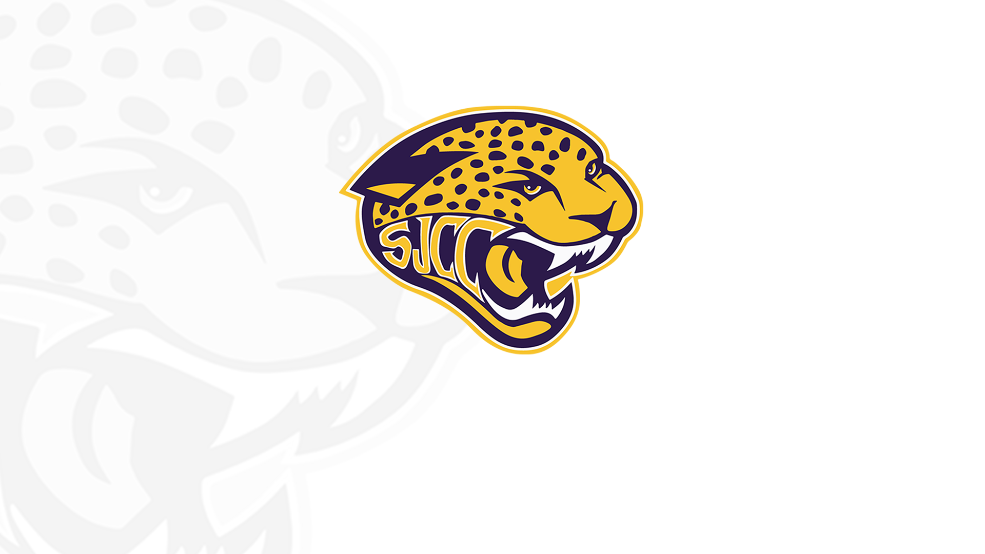 Jaguar Experience